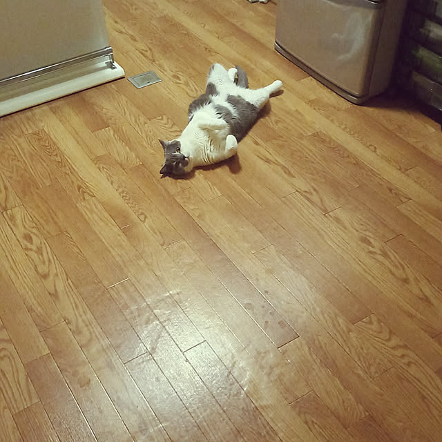 rhuさんの実例写真
