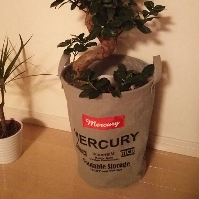 degumokoさんの実例写真