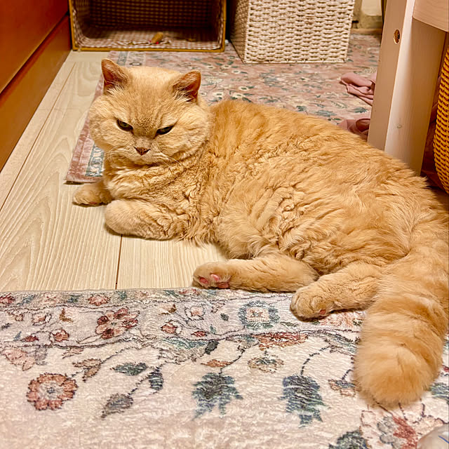 naokoさんの部屋