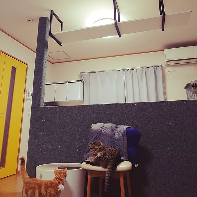 noguriさんの実例写真
