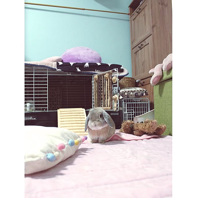 mmipさんの実例写真