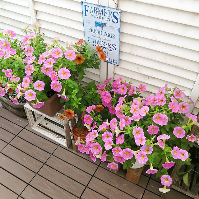 VERANDARJUNさんの実例写真