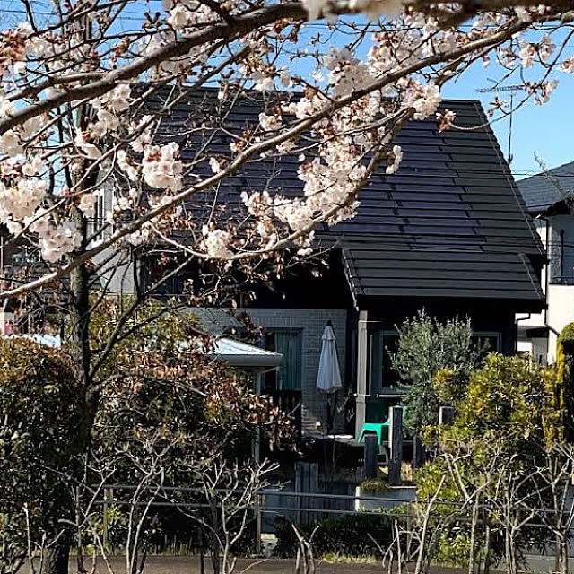 1TAさんの実例写真
