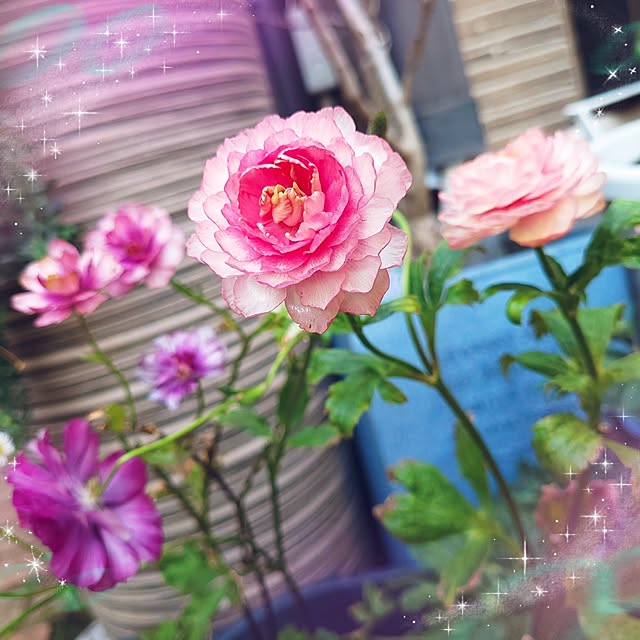 mimi828さんの実例写真