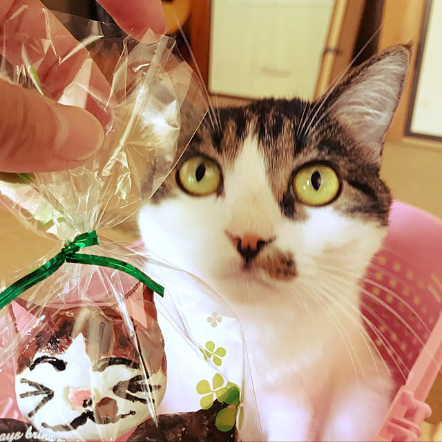 mikko3779さんの実例写真