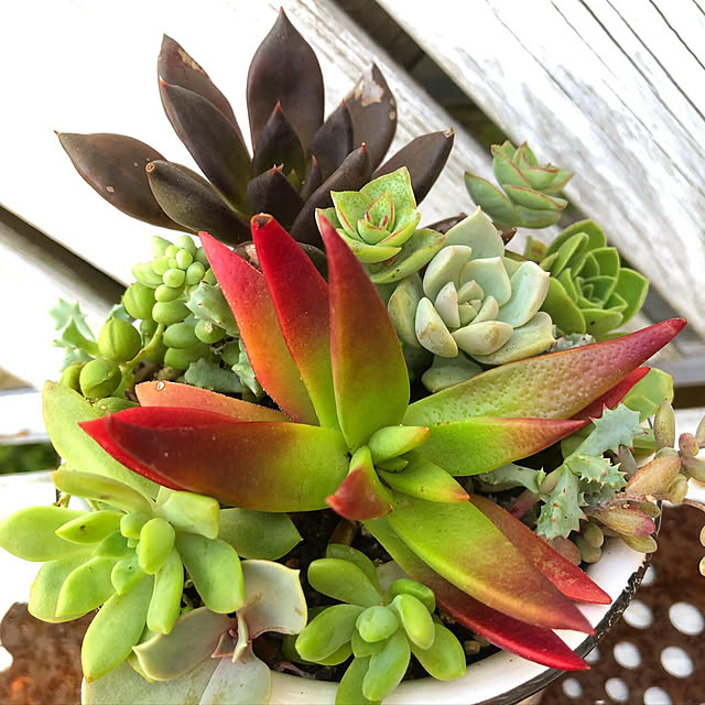 **yuu**さんの実例写真