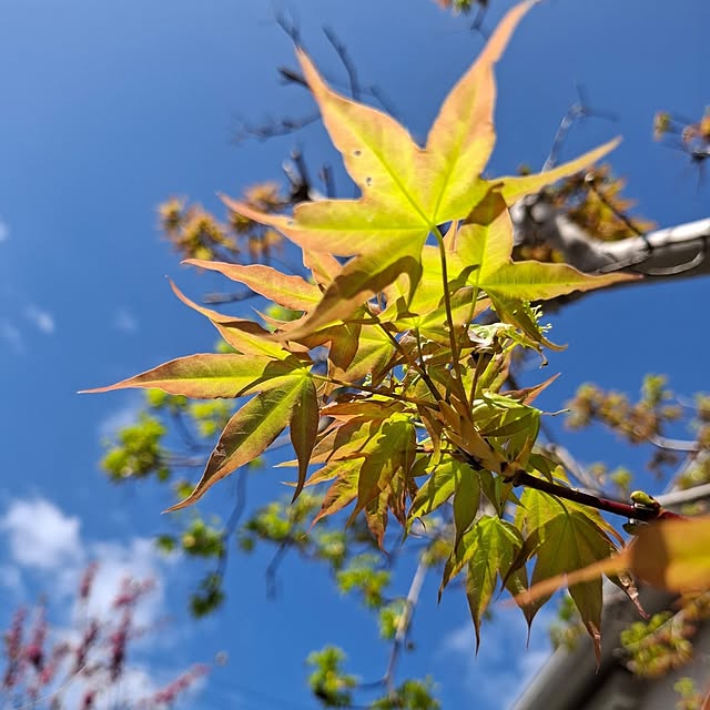 midoriさんの部屋