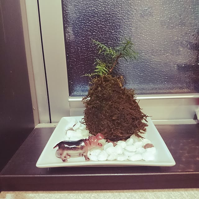 kurogoma5578さんの実例写真