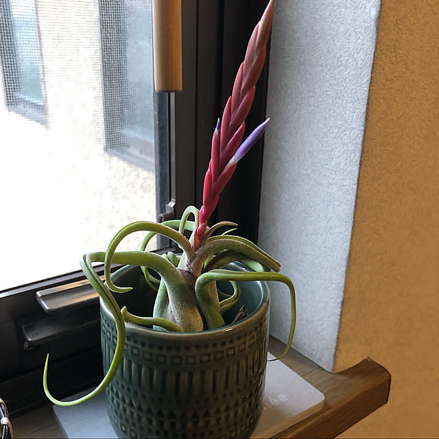 rintarotantan7さんの実例写真