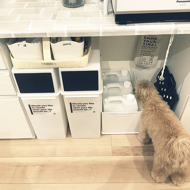 ikt.tamaさんの実例写真