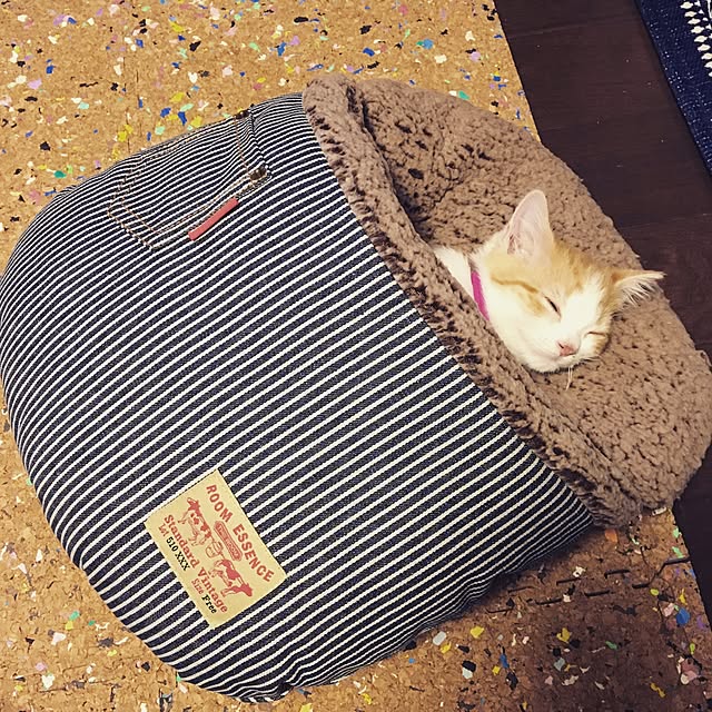 maoさんの実例写真