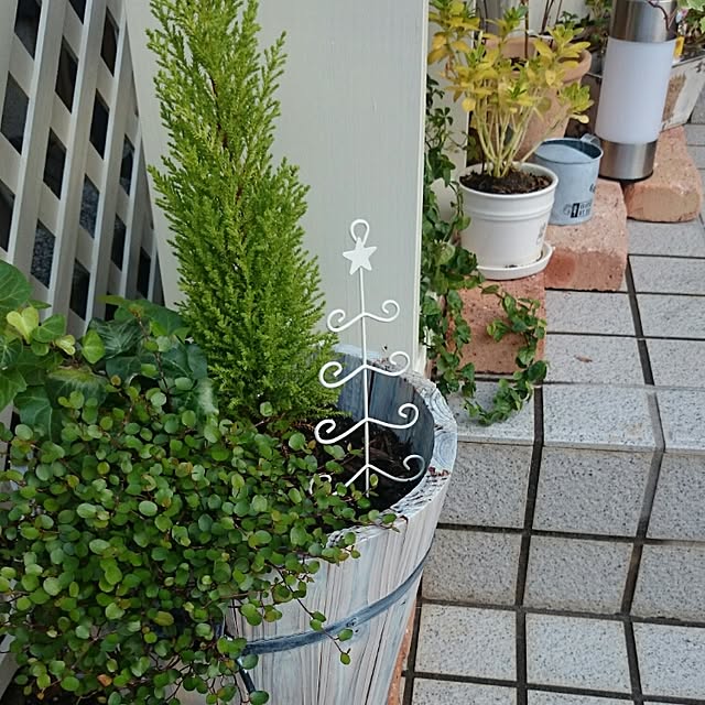 MYUさんの実例写真