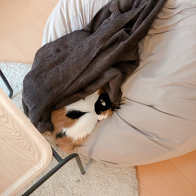 warashibeさんの実例写真