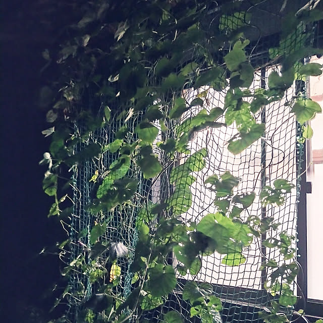 y.ebihara0811さんの実例写真