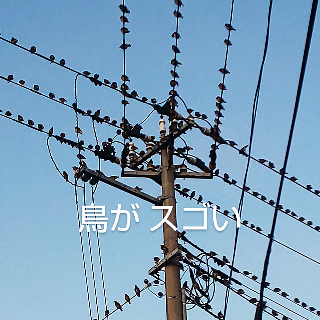 YUKOさんの実例写真
