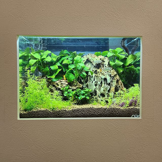 shimaaadsさんの実例写真