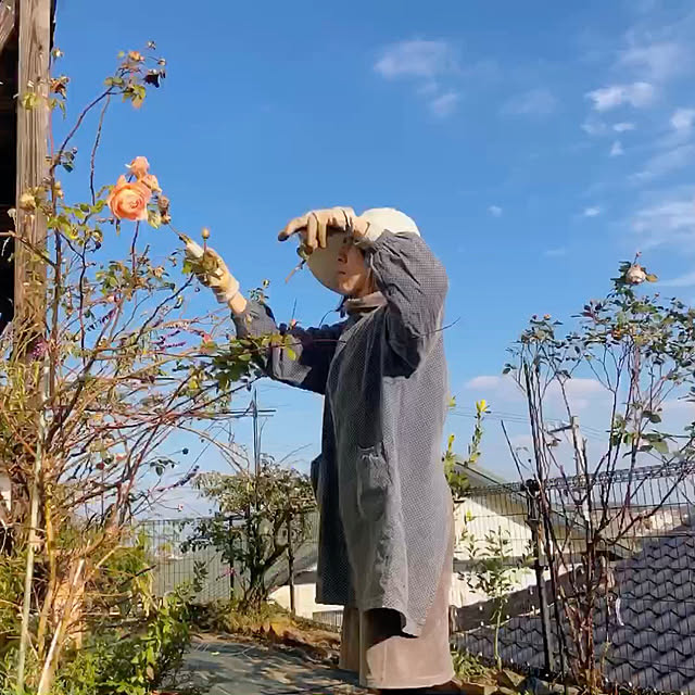 jewel-ynmさんの部屋