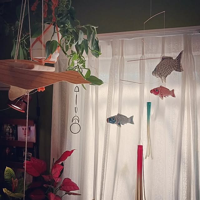 funnyfaceさんの部屋