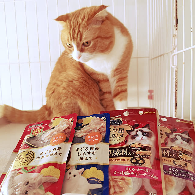 kumingさんの実例写真