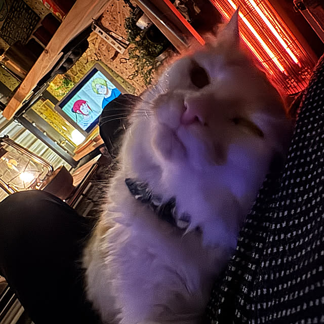 yutaさんの部屋