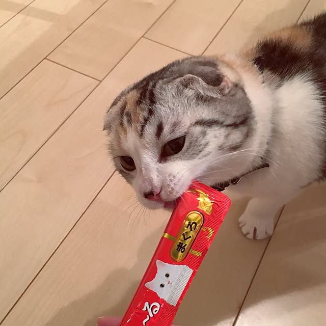yokkochanさんの実例写真