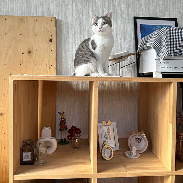 yurari.bonnさんの実例写真
