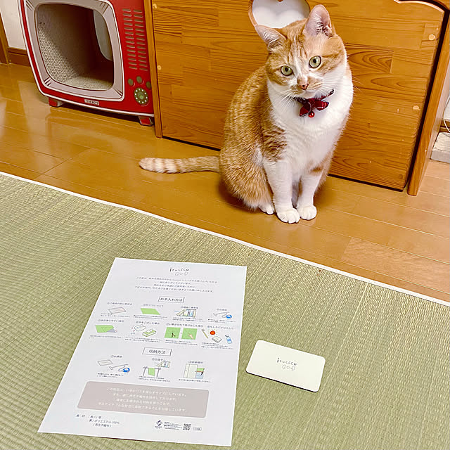 cocomaroさんの実例写真