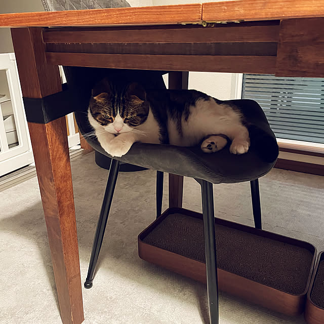 tansukeさんの部屋