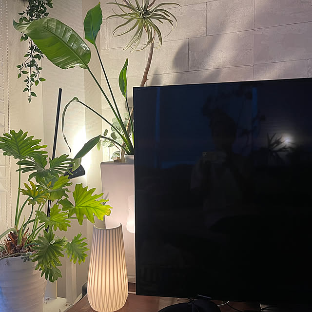 greenさんの実例写真