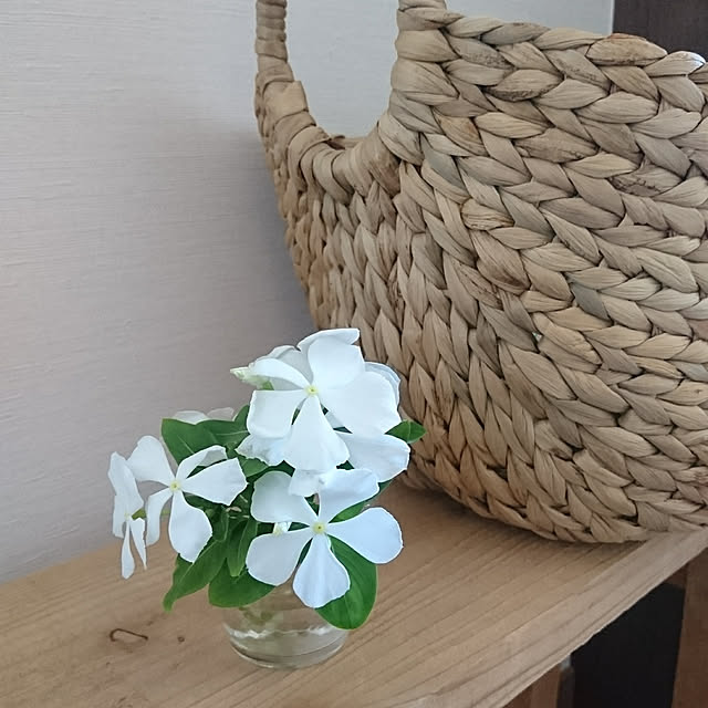 chii24さんの実例写真