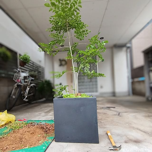 jinさんの部屋