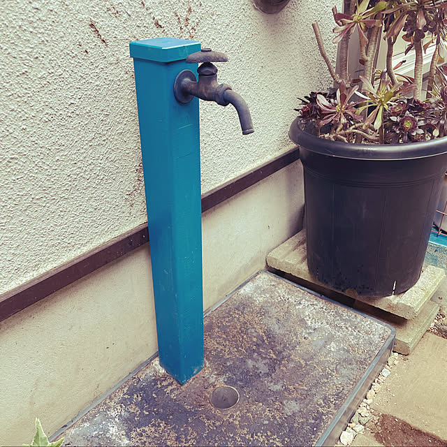 ciao0923さんの実例写真