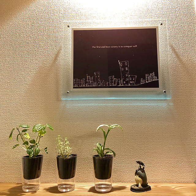 M.eriさんの実例写真