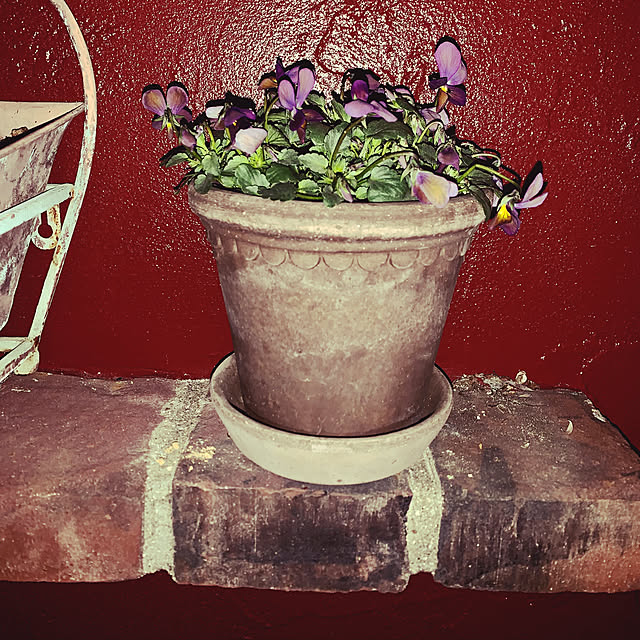 AYUKOさんの実例写真