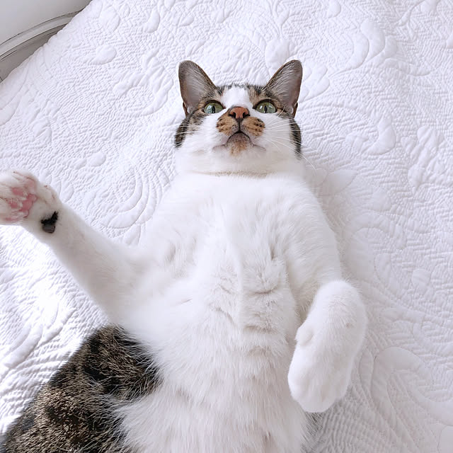 yuchiさんの実例写真
