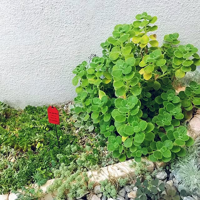 meiさんの部屋