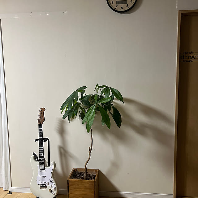 akoさんの実例写真