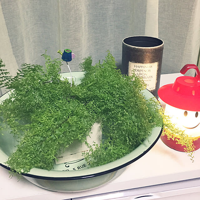 takakoさんの実例写真