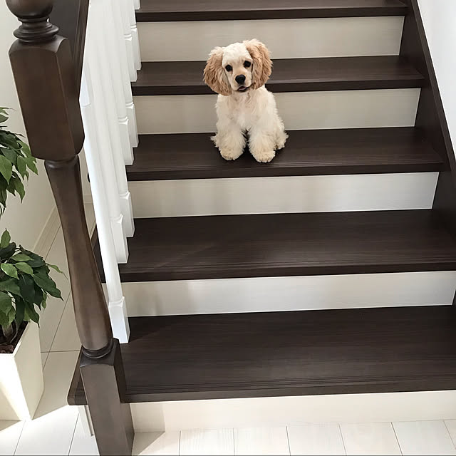 yuyuさんの実例写真