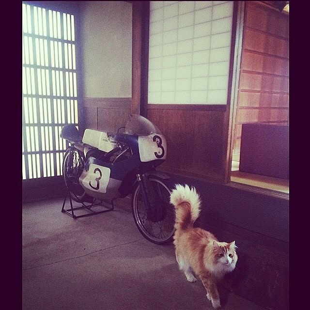 Shinya Yamaguchiさんの実例写真