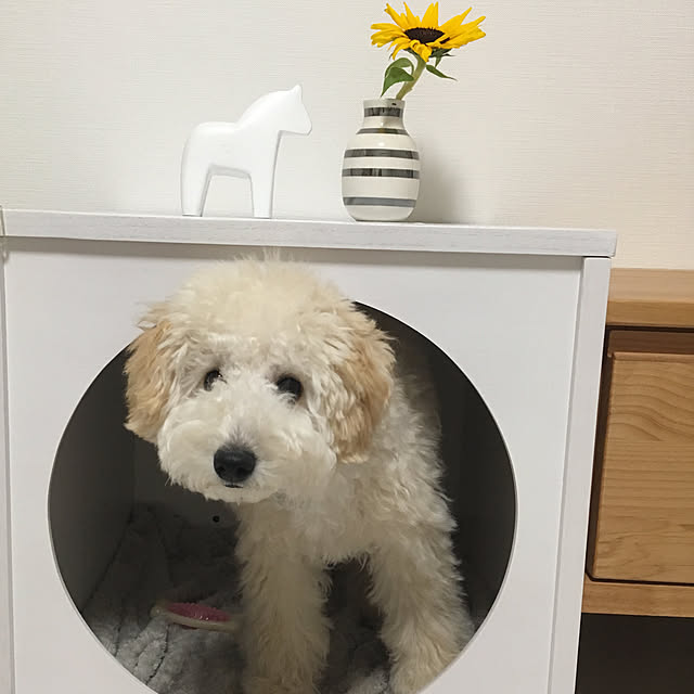 meruさんの実例写真