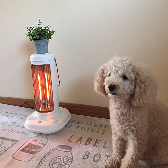 mocomocoyuuさんの実例写真