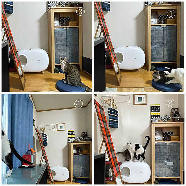 nobikoさんの実例写真