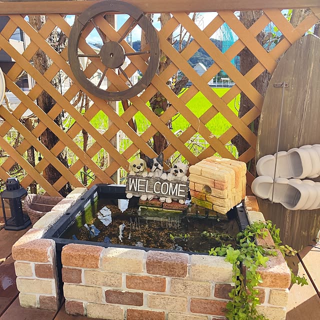 saayaさんの実例写真