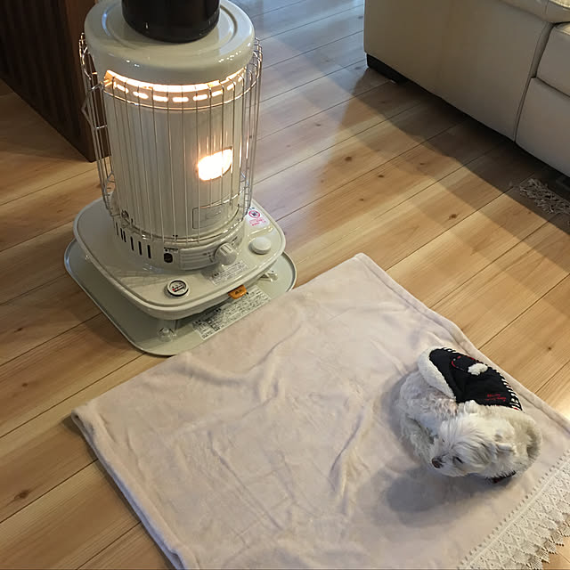 Shihoさんの実例写真
