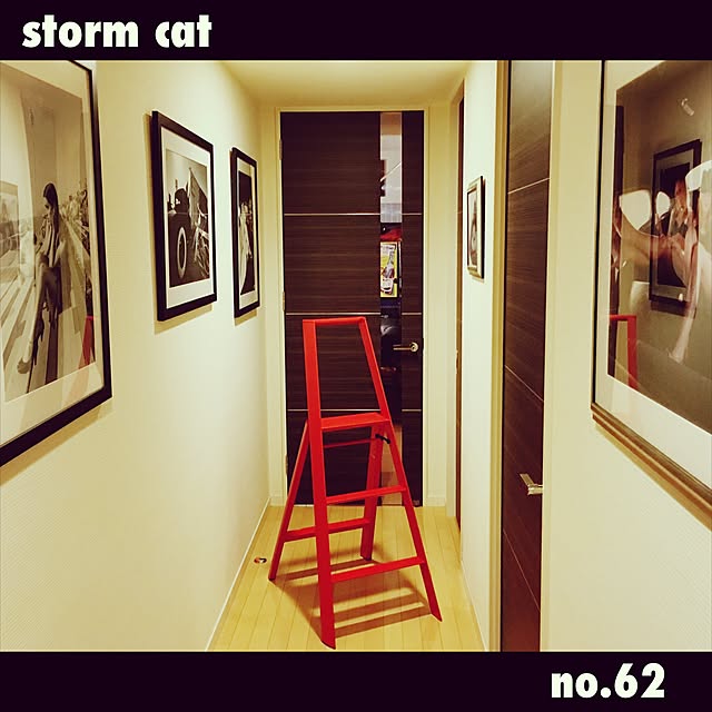 stormcatさんの実例写真
