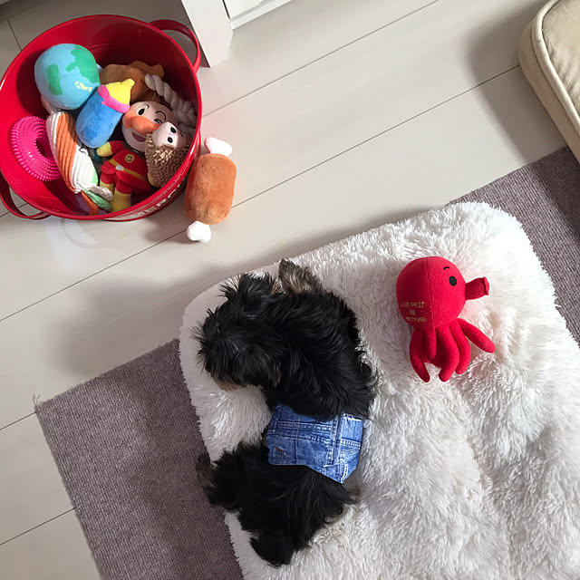 marikoさんの実例写真