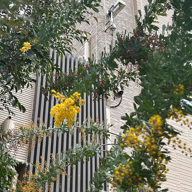 hatsugaさんの部屋