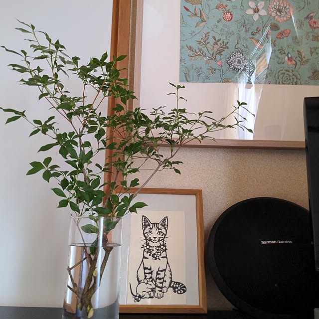 ryo.kotaさんの実例写真
