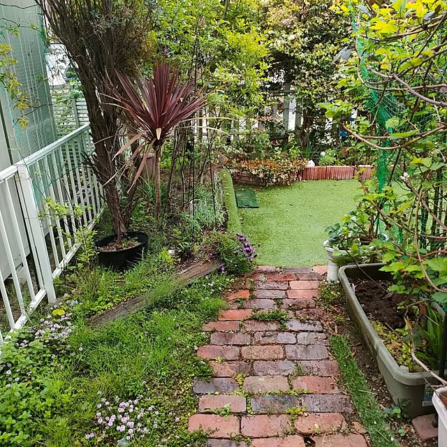 mind_komaさんの部屋